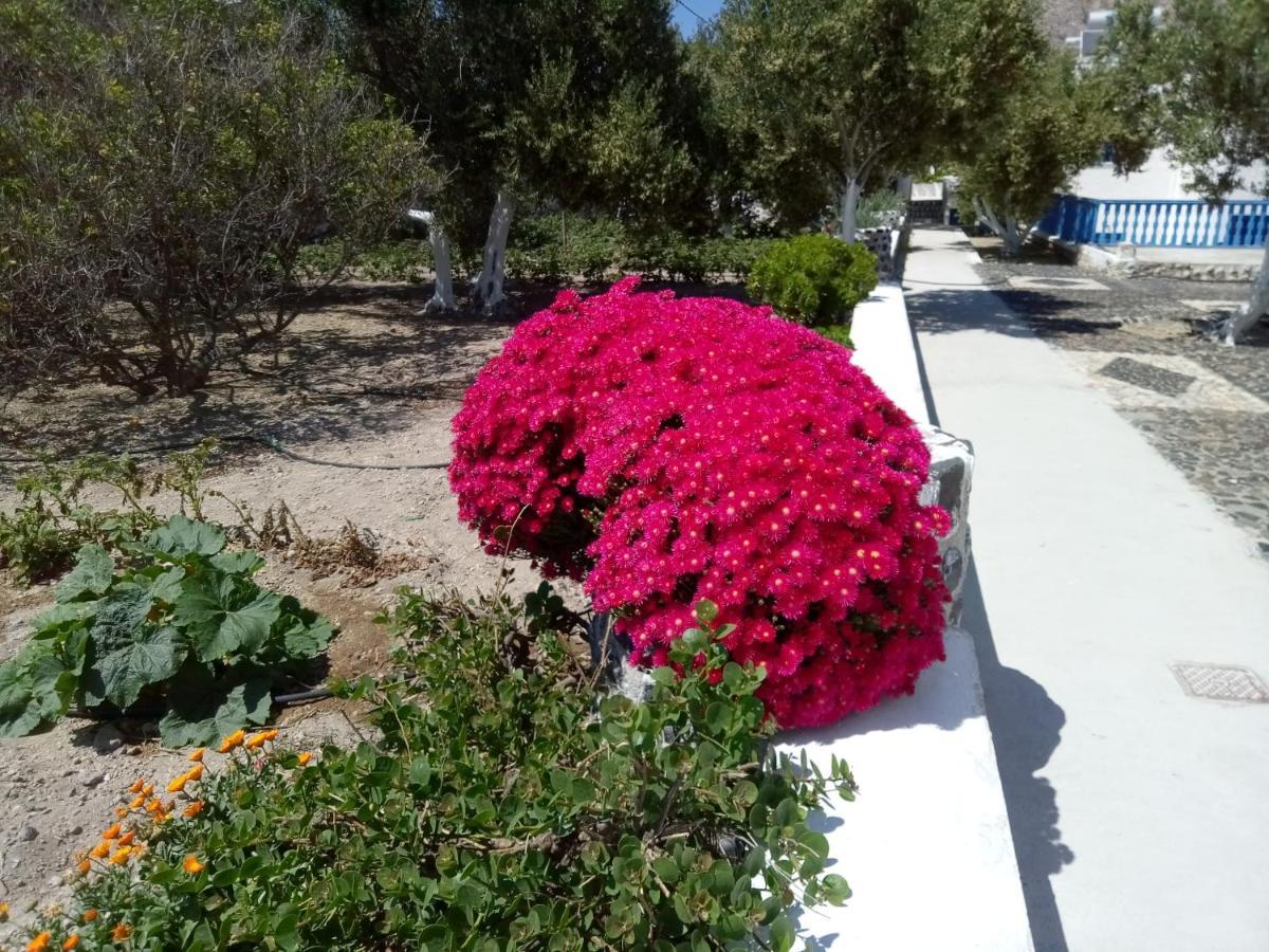Hotel Perissa Agios Georgios  Bagian luar foto